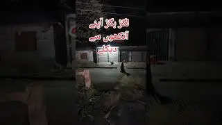 khofnak manzar #foryou #youtbeshort #viralsjort