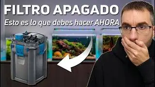 ¿Acuarios sin electricidad? ¡Guía De EMERGENCIA Para Salvar Tus Peces!