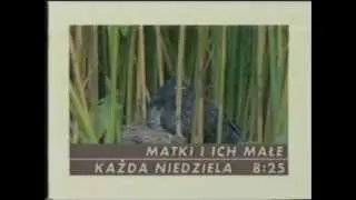 Canal+ Polska - jingiel 