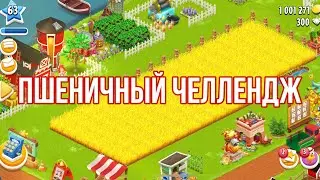 🌾 ПШЕНИЧНЫЙ ЧЕЛЛЕНДЖ 🌾