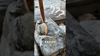Ternyata ini Fosil Hewan Prasejarah