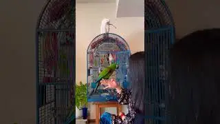Танцы