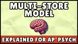Multi-Store Model (AP Psychology)