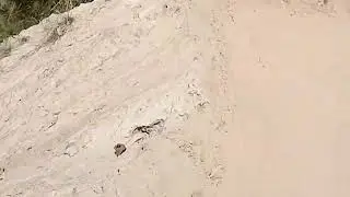 Toribari morang to aashetaar illam offroad 