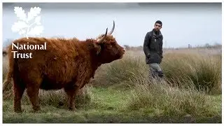 Tackling climate change at Wicken Fen - Ranger stories from the National Trust