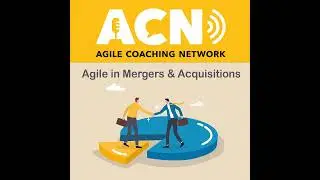 Agile in Mergers and Acquisitions