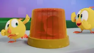 Where's Chicky? | Chicky's toy | A Xilam Series | Xilam TV