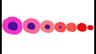 ERYTHROPOIESIS | RBC FORMATION | PROERYTHROBLAST, NORMOBLAST, RELICULOCYTE, MATURED RBC