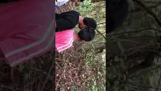 Kids hiking in Florida