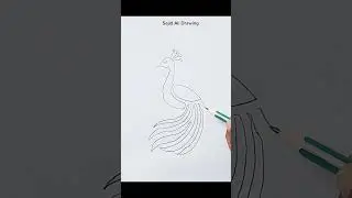 Peacock Drawing || How to Draw Peacock Easy || How to Draw Peacock for Beginners
