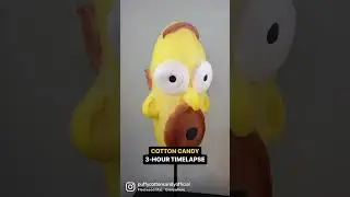 HOMER BEFORE & AFTER!