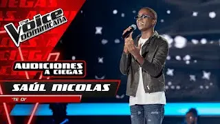 Saul Nicolas &ndash; 