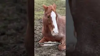 Er ist so goldig &hearts;️