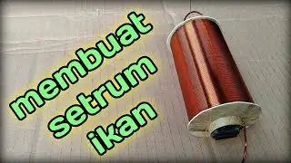 Cara menggulung setrum ikan platina