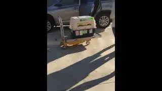 dog quarantine Australia