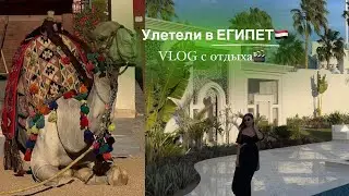 Улетели в ЕГИПЕТ🇪🇬 VLOG с отдыха 🎬| отель SUNRISE Remal Resort 🌴 Египет в декабре, стоит ли ехать⁉️