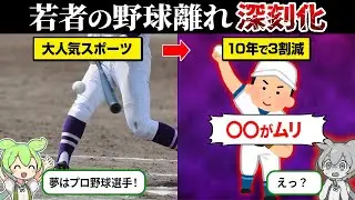 なぜ野球離れが急増してるのか？【ずんだもん＆ゆっくり解説】