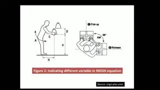 Demonstration of NIOSH lifting equation in Laboratory