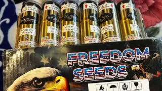 Intravenous- &ldquo;Freedom Seeds&rdquo; Proline canister shells Color break and Ti burst #9, #10, #11, #12