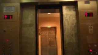 Wonderful Dynasty Elevators at the Montbleu Volume II
