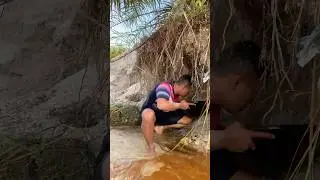 Abundance of gold under the roots of oil palm trees.#gold #treasuresearch #fypシ゚viral #goldcollector