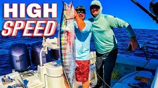 Fishing for one of the FASTEST FISH IN THE WORLD!