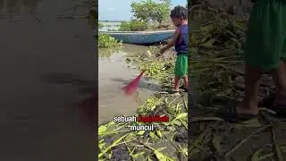 JALA AJAIB #short #fishing #mancing #ikan #ikanmas