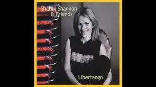Sharon Shannon feat. Pauline Scanlon - All the Ways You Wonder [Audio Stream]