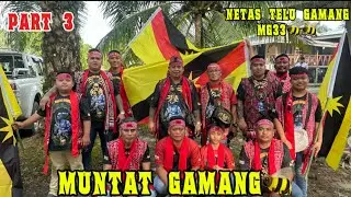 NETAS TELU GAMANG🐝🐝DIMIRI PART3..MENYAMBUT KEDATANGAN SAUDARA MG DARI SABAH‼️‼️‼️