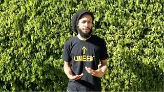 Tuff Gong Worldwide talks with Aaron Nigel Smith | Part 2/2