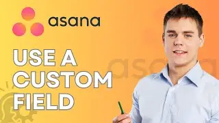 How to Use a Custom Field in Asana | Full 2026 Guide