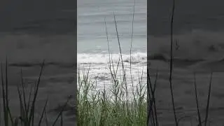 Southern Style Delta Blues by the Sea Beach & Blues for Relaxation Soulful Vibes Relax Study Chill
