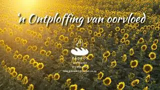 'n Ontploffing van oorvloed