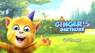 My Talking Ginger birthday party 🎇🎇🎉🎉🎇🎉