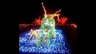 Brookside lights