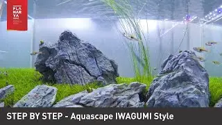 HOW TO SETUP AQUASCAPE IWAGUMI STYLE