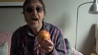 Organic Culture - or artificial culture