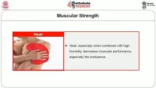 Fundamentals of work Physiology