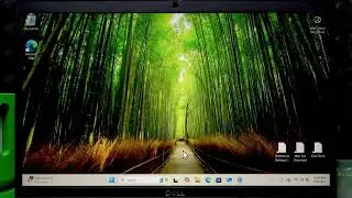 DELL Latitude 3520 &ndash; How to Update and Install Drivers