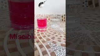 Miscible and Immiscible#science #experiment #education #learning #shortvideo #subscribe #