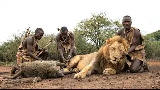 Supervivencia Real en &Aacute;frica: La Tribu Hadzabe y la Caza Tradicional de Leones y Monos