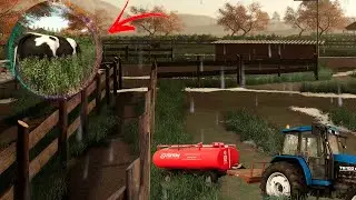 TRATANDO AS VACAS E AS GALINHAS.UM PEQUENO PRODUTOR#38 FARMING SIMULATOR 19 MODS