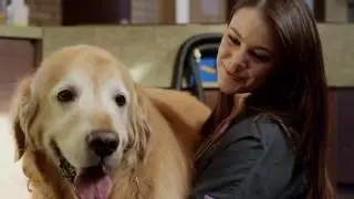 Pet Wellness Plan