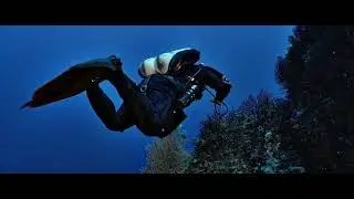 Immersione allo Scalone