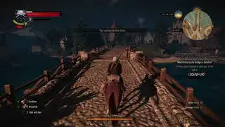 Witcher Clips: Context needed & glitchy Roach