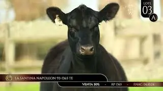 LOTE 3A - LA SANTINA 1365