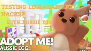 Testing legendary pet hacks with Aussie eggs!