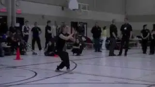 White Crane Kung Fu - Double Daggers