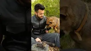 SURVIVAL - HEMEN YAK ! SPEED FIRE 4K  ! #experiment #wintercamping  #survivaldog @ULUGUNIR