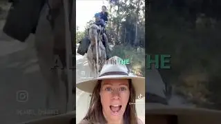 Camel Lady's Day in The Life: Camel Trekking with Family